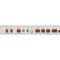 Mobatime dts4148-2 back view NTP PTP time server DCF IRIG redundancy IEEE 1588 synchronization