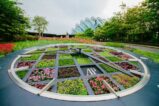 Floral Clocks by Mobatime in Audemars Piquuet Singapore with a diameter of 5m